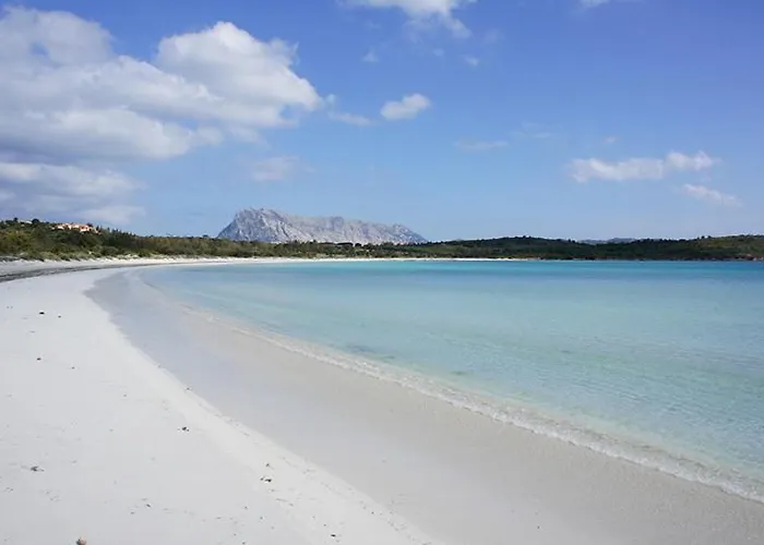 Vakantiehuis Sardinian *